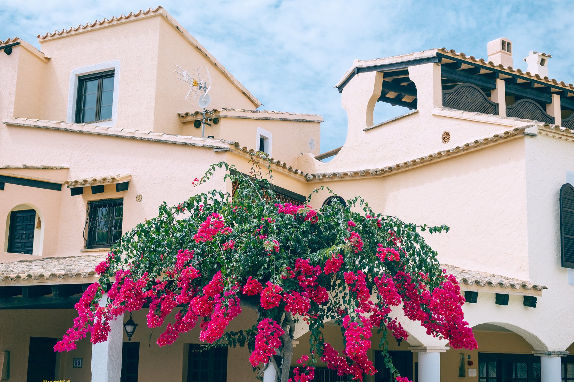 Edificio de paredes claras con tejados de teja, terraza cubierta con vigas oscuras y una planta de abundantes flores fucsias en primer plano.