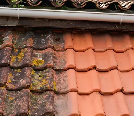 Expertos en Limpieza de Tejados y Cubiertas en Torrelavega