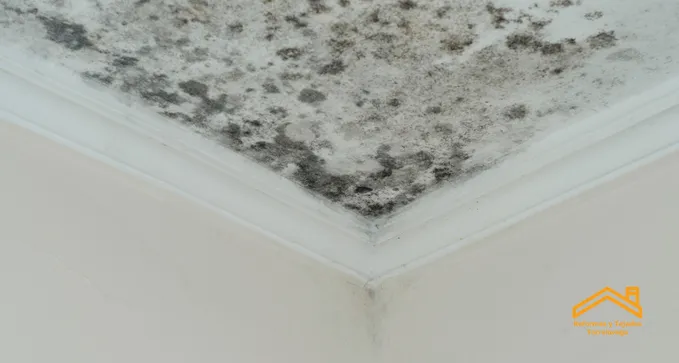 Reparar Humedades por Condensación en Torrelavega